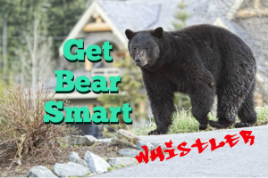 Whistler Bear Tips