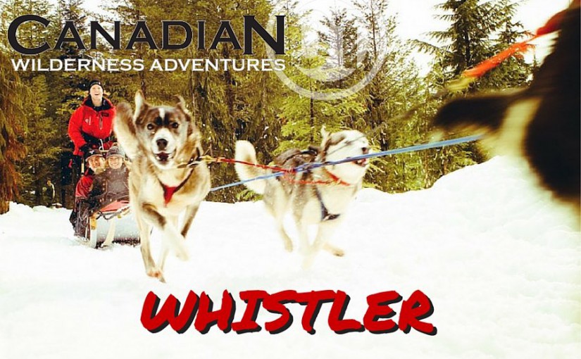 Whistler Dog Sledding Canadian Wilderness Adventures